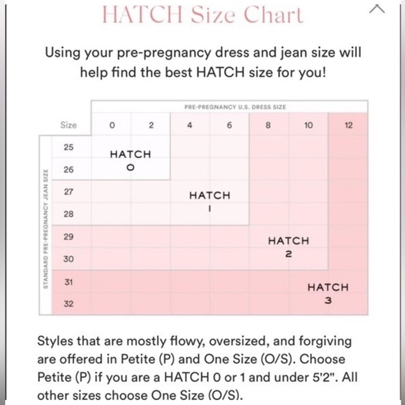 NWT Hatch The Lucia Dress in Blush Daisy Pink Size 0 - Picture 10 of 13